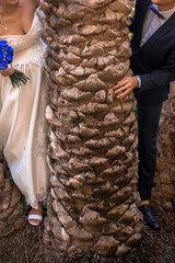 Wall Mural - Vertical shot of the bride and the groom posing near a palm tree trunk