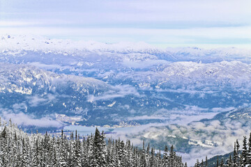 Wall Mural - Snow ski view