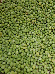 Canvas Print - Closeup shot of green peas background