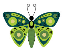 Cute Green Butterfly