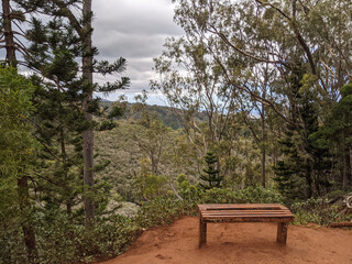 Sticker - Beautiful shot of a forest under the cloudy skies