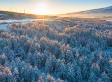 Morning Aerial View Of The Winter Forest. Sunrise Over The Hills. The Tops Of The Snow-covered Larch Trees Are Illuminated By The Sun. Cars Are Driving Along A Snowy Road. Travel To The Far North.