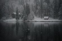 Winter Scenery With A Lake, Lodges, And A Coniferous Forest