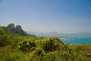 Sticker - Beautiful view of greenery on the cliff by the sea