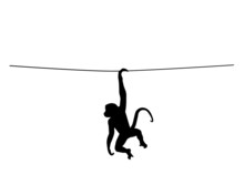 Monkey Hanging Illustration Isolated On White Background. Minimalist Art Design