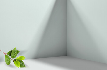 Fototapete - Simple background image  - perspective of corner of room with shadows from different angles delicate light pistachio color. Branch with fresh green leaves in corner of image.