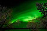 Fototapeta Tęcza - Aurora Borealis, or Northern Lights at Lake Inari, Finnish Lapland