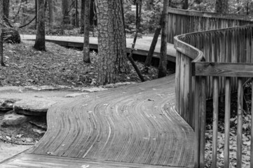 Sticker - Grayscale of a winding wooden platform in a park