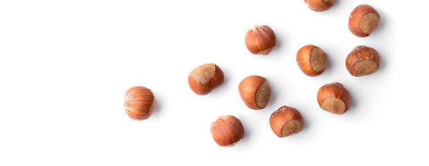 Wall Mural - hazel nut healthy ingredient organic raw closeup ,hazelnut on white isolated