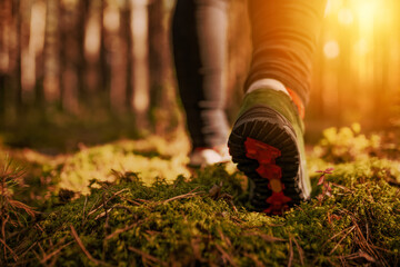 Sticker - woman hiking in the woodland