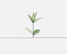 Continuous Line, Young Plant Growing. Drawing Of Set Nature. (Vector Illustration One Line Drawing)