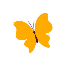 Isolated Yellow Butterfly On White Background