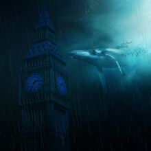 WHALES OF LONDON