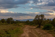 © Вячеслав Иванов - Sandy road in shroud passing between grass and trees against a cloudy sky