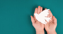 Holding A White Dove In The Hands, Symbol Of Peace, Paper Cut Out, Copy Space For Text