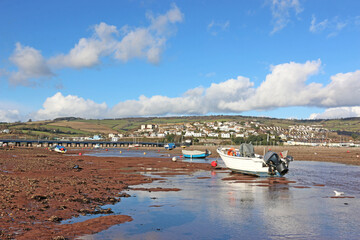 Wall Mural - 	
River Teign at low tide	