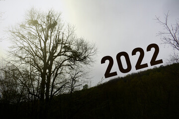 The new year 2022 is coming. Motivation concept on a slope in the forest.
