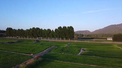 Poster - An aerial HD footage of a vast agricultural green lawn field in the countryside