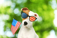 4th Of July - Independence Day Of USA. Cute Dog With Sunglasses And American Flag On Blurred Green Background, Bokeh Effect