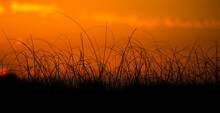Beautiful Sunset In Everglades National Park