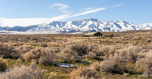 A Prairie Landscape With A Distant Snow Covered Mountain Range