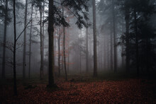 Beautiful Misty Autumn In The Evening. Bavaria, Germany