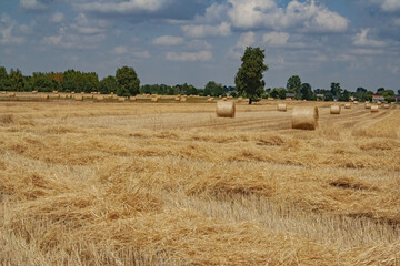 Poster - Beautiful view of round hay bales in a field