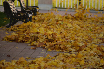 Falling leaves, mellow autumn. Autumn in city Park in yellow leaves. Yellow leaves on garden bench, sad mood of past summer