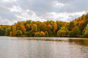 Wall Mural - Beautiful shot of yellowing trees and a calm lake on an autumn day