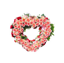 Colorful Pink Red Rose Flower Blooming In Heart Shape Patterns Isolated On White Background , Clipping Path For Wedding  , Mothers Day Or Happy Valentine's Day