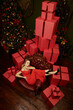 © Andrey Kiselev - classy Christmas presents