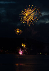 Sticker - Vertical shot of big colorful fireworks in the night sky