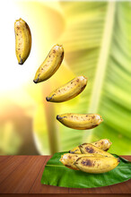 Fresh Ripe Bananas Fall On Top Of A Green Banana Leaf On The Table Against The Backdrop Of A Beautiful Sunny Banana Tree.