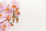 Fototapeta  - Pink orchid theme objects on pastel background.