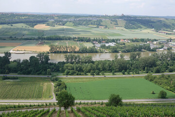 Wall Mural - Main bei Randersacker