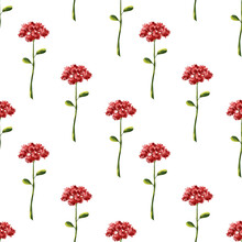 Iterative Pattern With Red Flower On White Background. Different Botanical Elements In Digital. There Are Purple Flowers. For Textiles And Packaging, Wallpaper And Scrapbooking. Spring Template