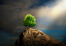 Tree Alone On Rocky Mantle With Faint Light Coming From The Sky, 3D Illustration