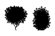 Set Of Monochrome Silhouette Of Shrubs And Trees. Decorative Design Element In Black And White Colors.Horizontal Panorama With Thicket Of  Garden Plants.