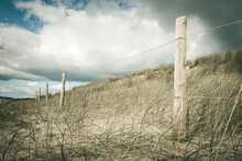 Sand Dune And Fence On A Beach, Re Island, France