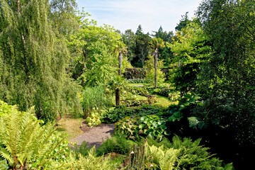 Wall Mural - Culzean Park in summertime - Scotland