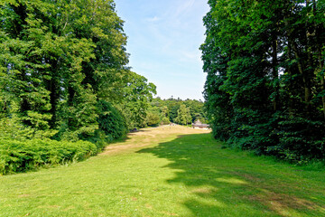 Wall Mural - Culzean Park in summertime - Scotland