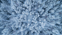 Beautiful Aerial View Of Snow Covered Forest. Rime Ice And Hoar Frost Covering Trees. Scenic Winter Landscape...