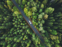 Aerial View Asphalt Road And Green Forest. Country Road Going Through Forest With Car Adventure View From Above. Ecosystem And Ecology Healthy Environment Concept And Background.