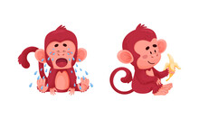 Cute Funny Monkeys Actions Set. Little Baby Animals Crying And Eating Banana Fruit Vector Illustration