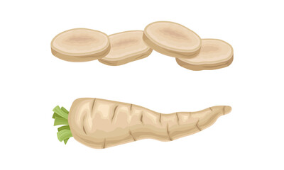 Wall Mural - Parsley root whole and sliced set. Seasoning tuberous vegetable vector illustration