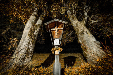 Poster - Low angle beautiful view of a broken birdhous and two high trees at night in Wallgau, Germany