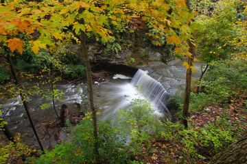 Wall Mural - Beautiful view of the river waterfall with natural green plants and trees