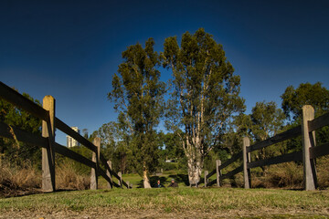 Poster - Shot of wooden fence in a farmland