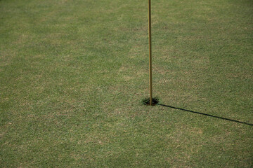 Poster - Golf hole in a field covered in the lawn under the sunlight