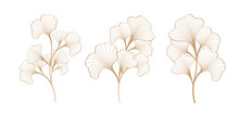 Gold Color Ginkgo Leaf Plant Stub Vector Design Illustration